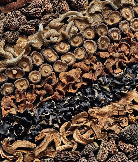 Champignons séchés sauvages pour risotto forestier