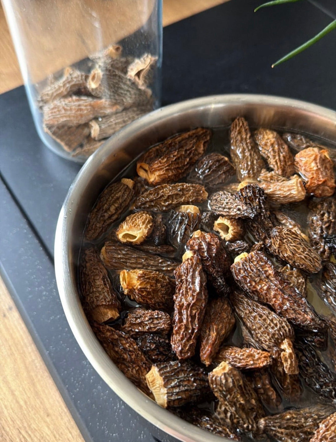 Comment réhydrater les morilles séchées ? Le guide complet