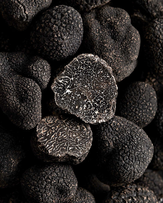 Truffe noire fraîche Tuber melanosporum