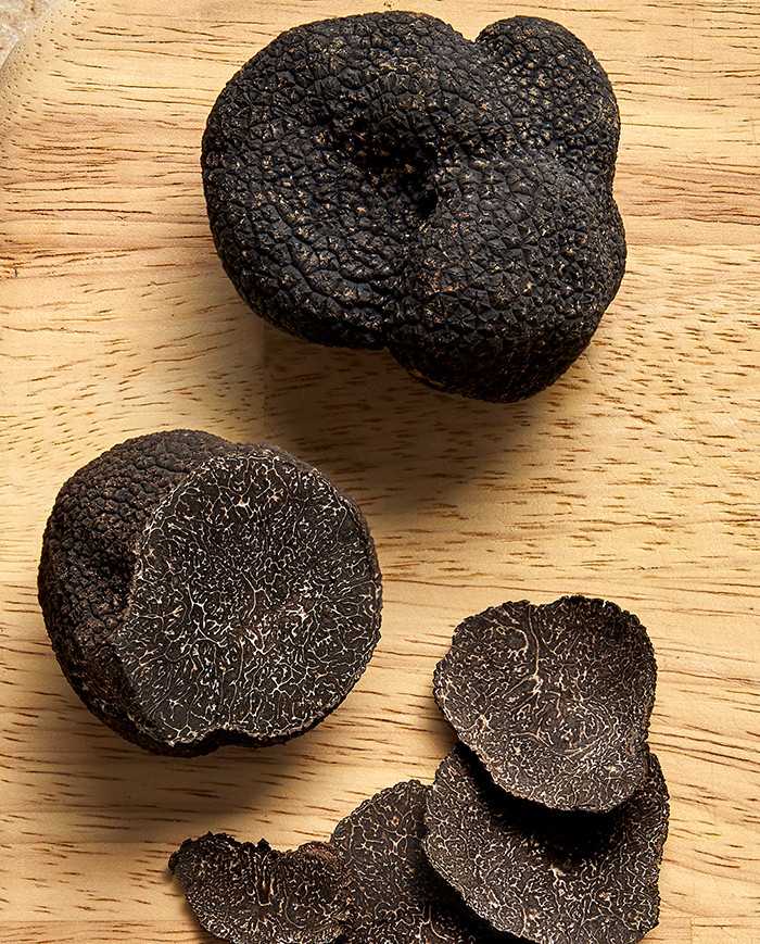Truffes bientôt...