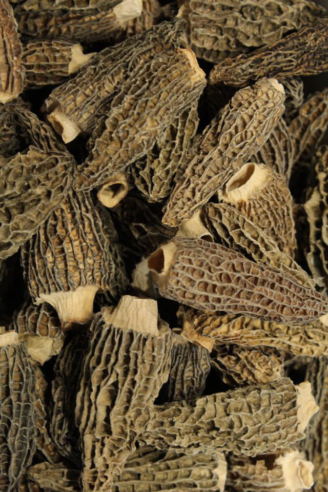 Morilles premium 3/5cm sans queue 150gr