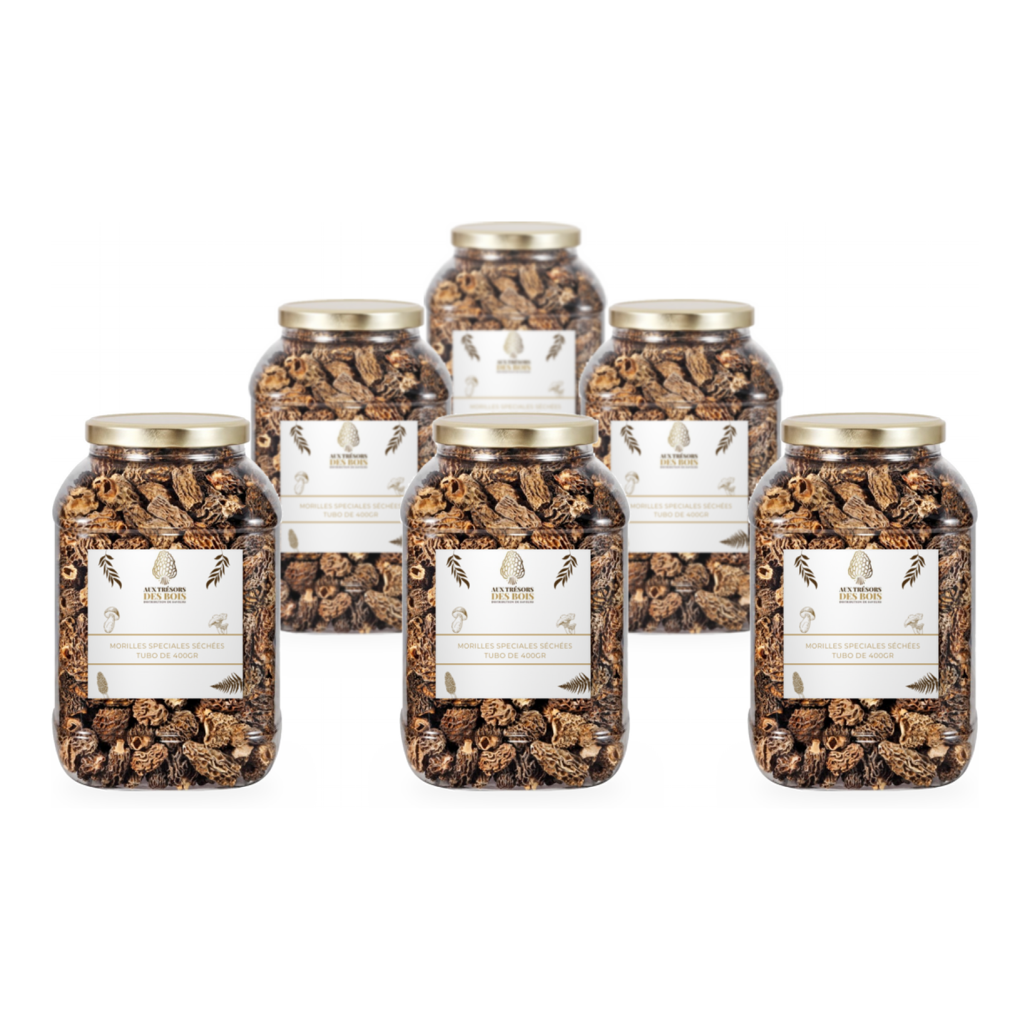 Lot de 6 boîtes de morilles séchées – 6 × 400 g | Volume professionnel