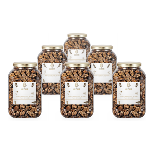 Lot de 6 boîtes de morilles séchées – 6 × 400 g | Volume professionnel