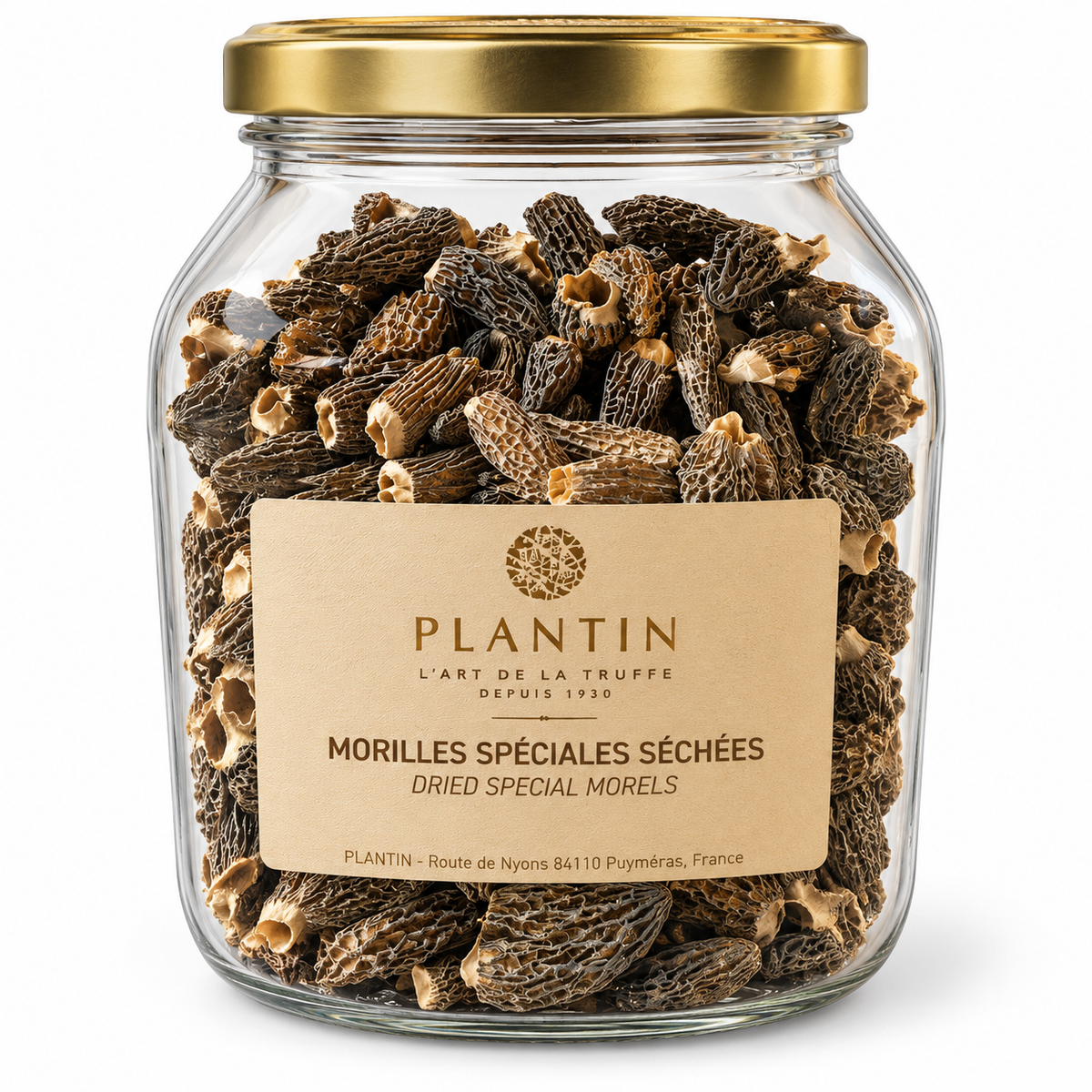 Morilles séchées Plantin – pot de 125 g