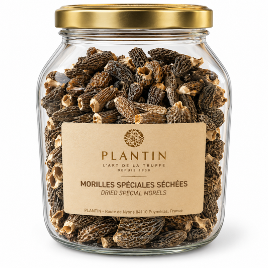 Morilles séchées Plantin – pot de 125 g