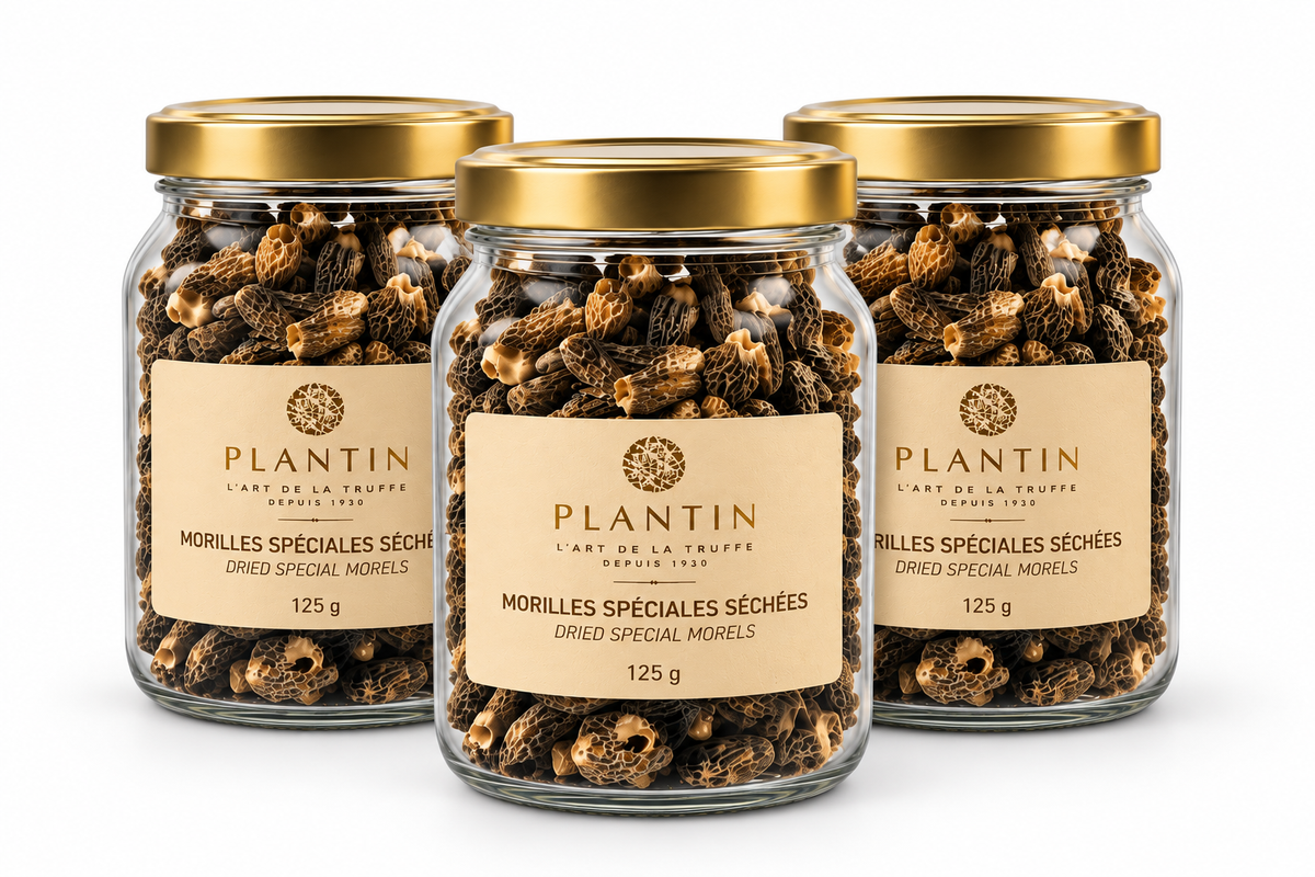 Lot de 3 pots de morilles séchées Plantin 125 g