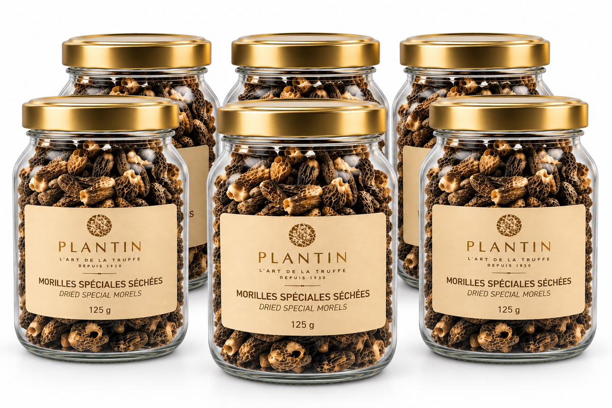 Lot de 6 pots de morilles séchées Plantin 125 g