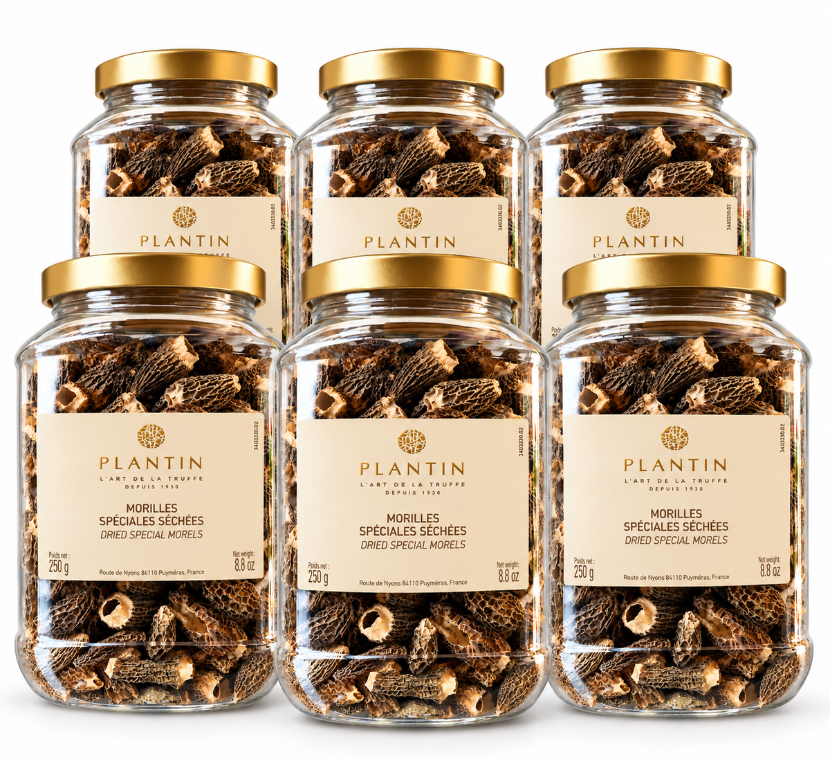 Lot de 6 pots de morilles séchées Plantin 250 g