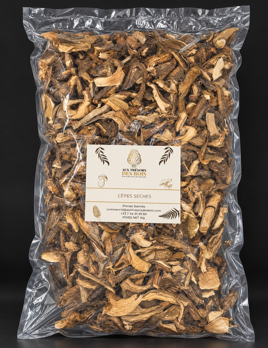 Cèpes luxe séchés – 1 kg | Roi des champignons