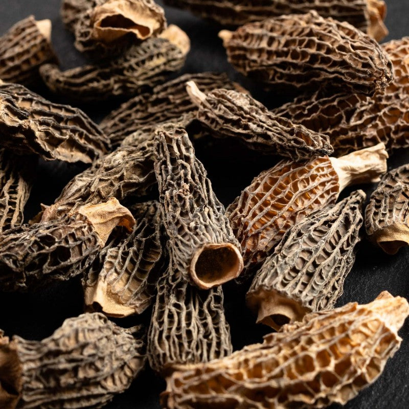 Morilles séchées Morchella conica en gros plan – champignons sauvages premium