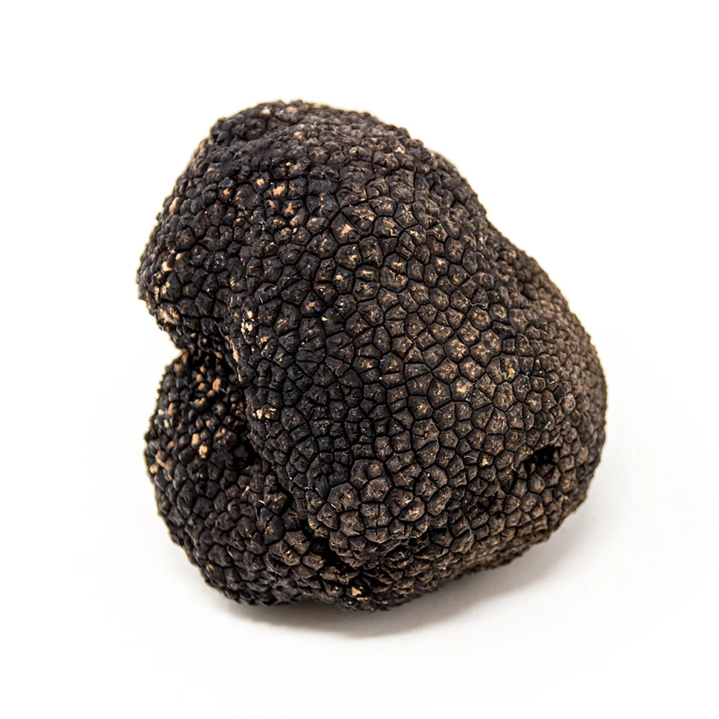 Truffe d'été fraîche Tuber aestivum – 250 g | Calibre +15 g