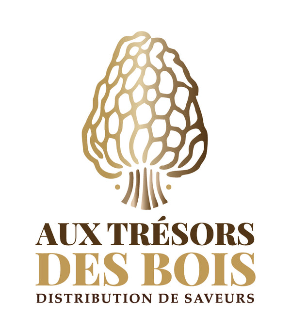 Aux trésors des bois 