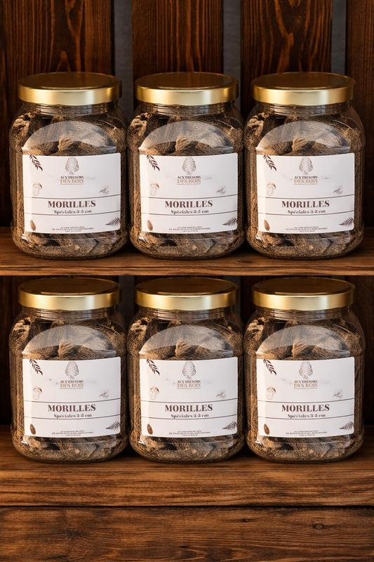 Lot de 6 bocaux de morilles séchées – Spéciales 3–5 cm (150 g)